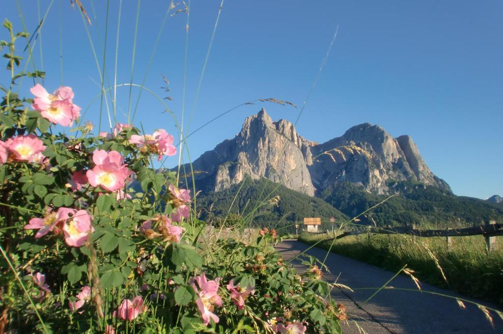 Hotel Viktoria Castelrotto Kültér fotó