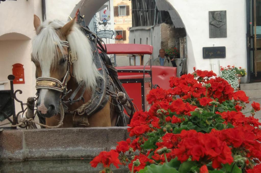 Hotel Viktoria Castelrotto Kültér fotó
